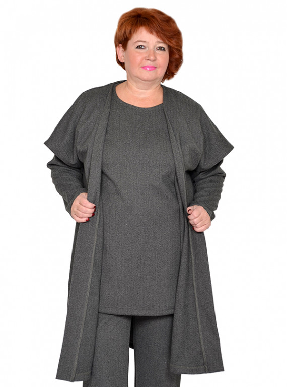 Модель №2431