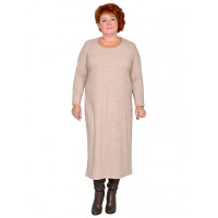 Модель №2439