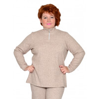 Модель №2443