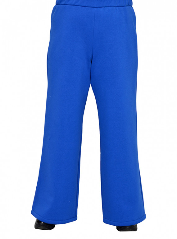 Модель №2446