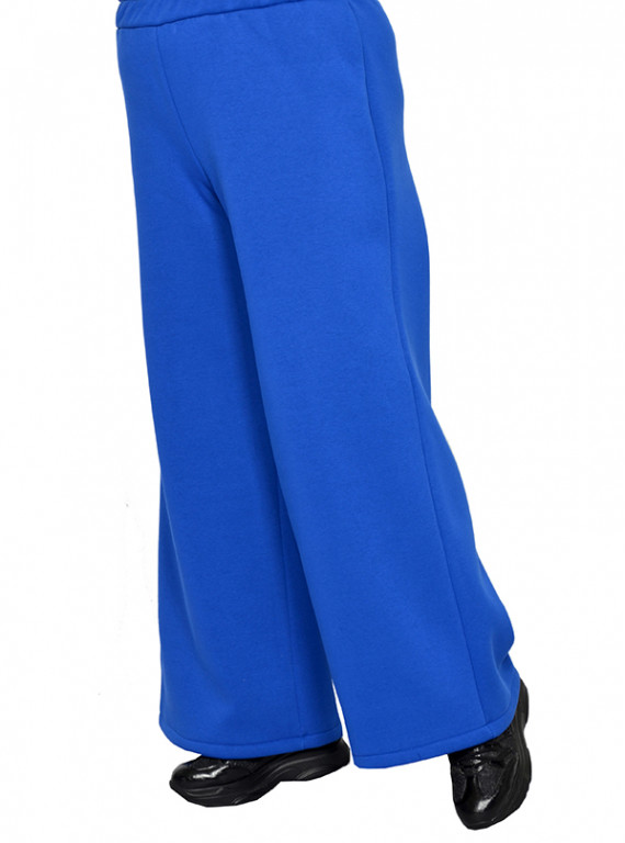 Модель №2446