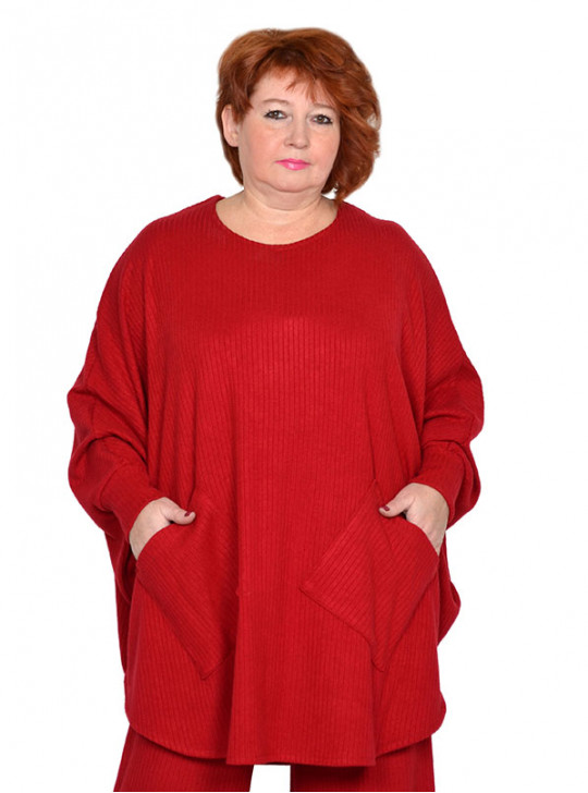 Модель №2476