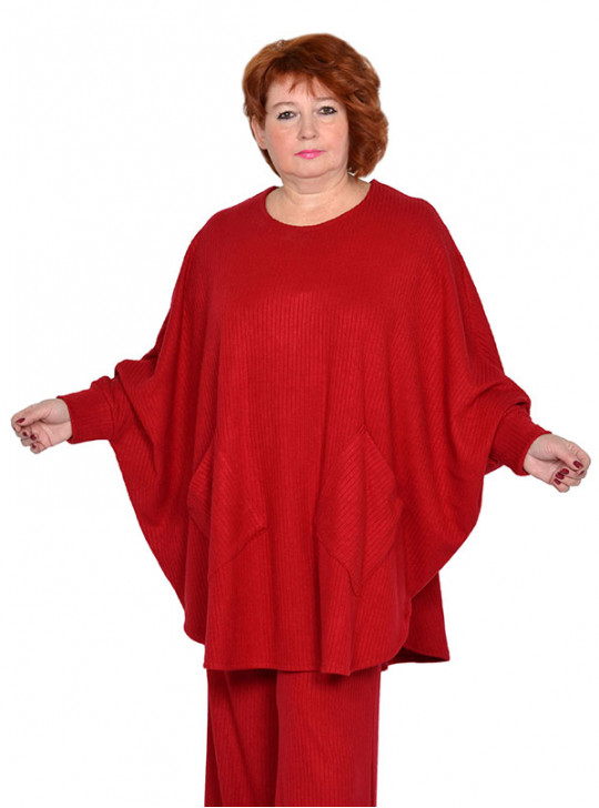 Модель №2476