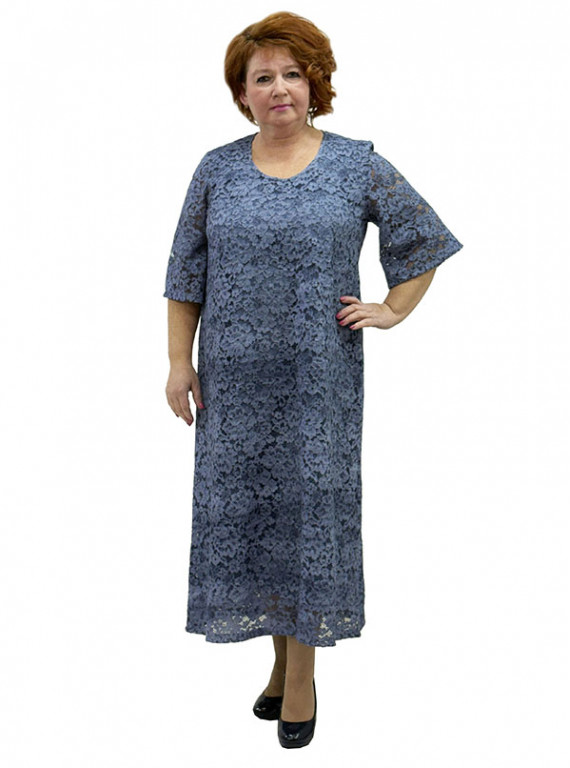 Модель №2493