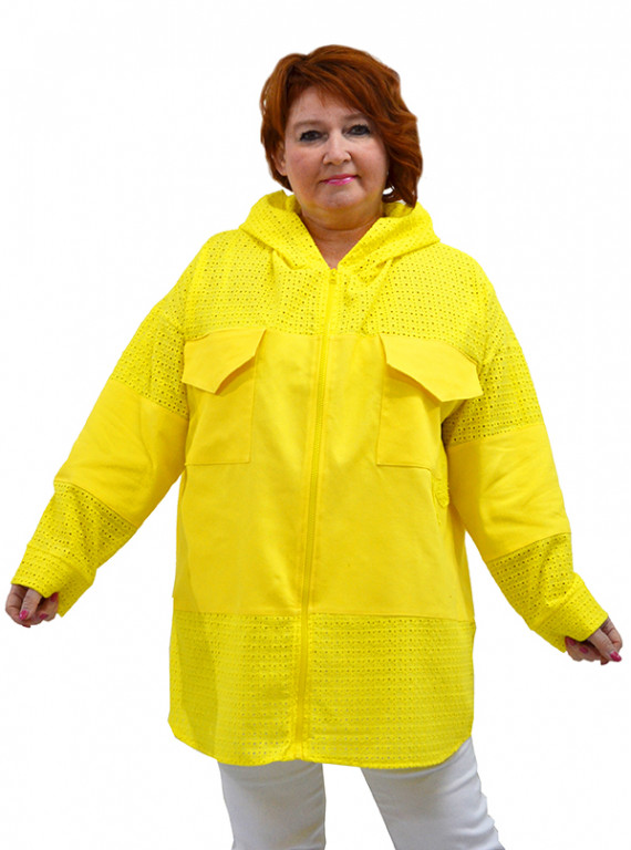 Модель №2496