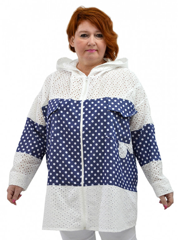 Модель №2498