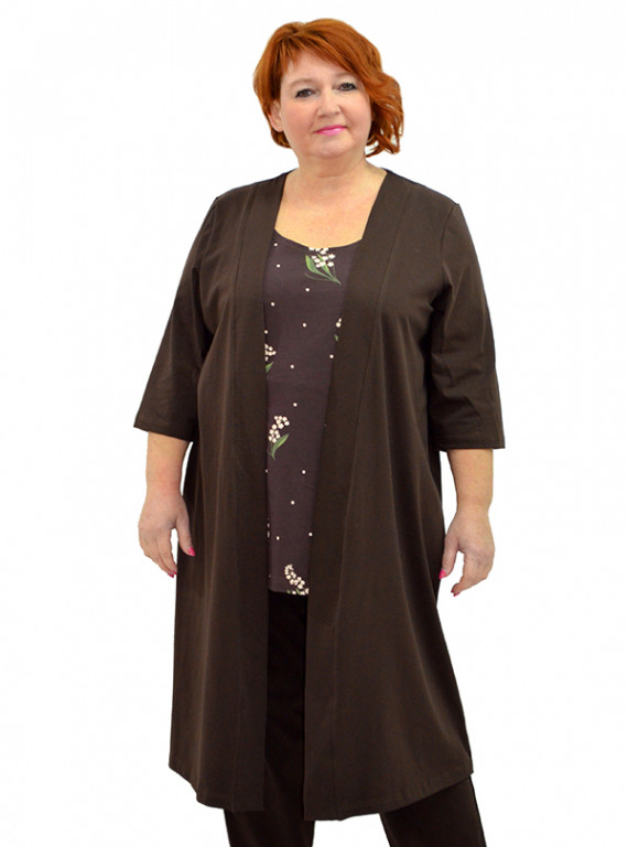 Модель №2500