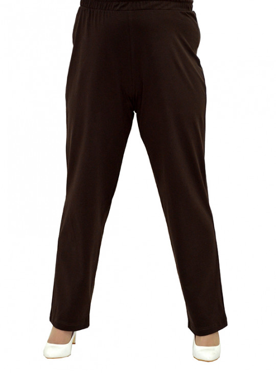 Модель №2501