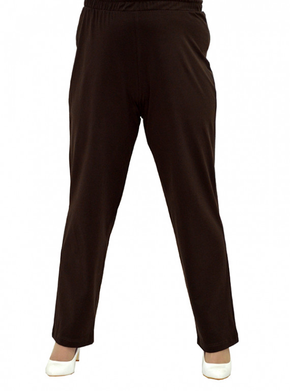 Модель №2501