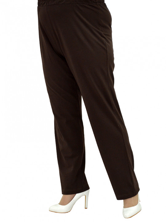 Модель №2501