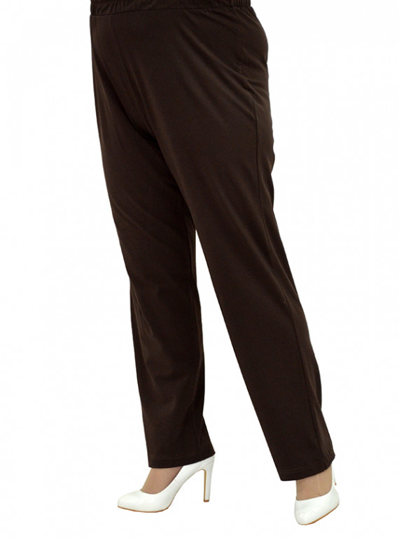 Модель №2501