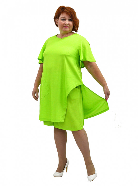 Модель №2523