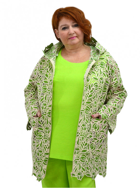 Модель №2527