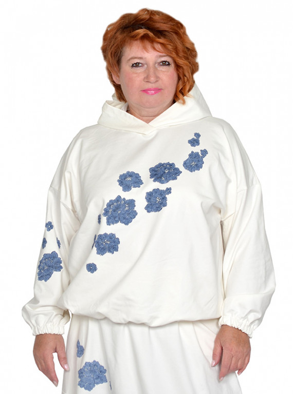Модель №2720