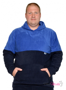 Модель №2119