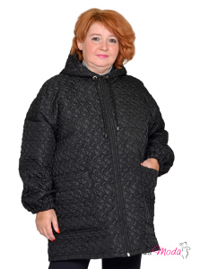 Модель №2418