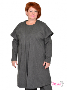 Модель №2431