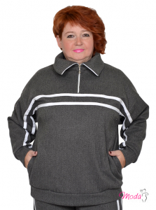 Модель №2433