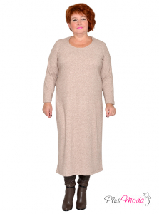 Модель №2439