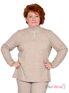 Модель №2443