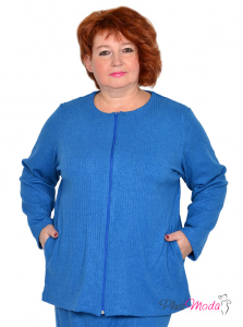 Модель №2479