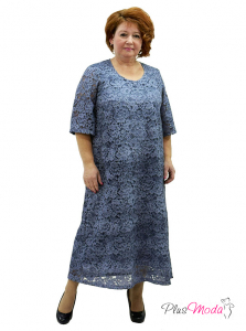 Модель №2493