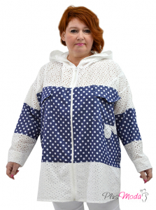 Модель №2498