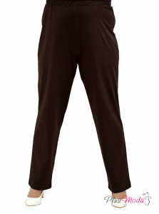 Модель №2501