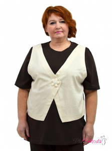 Модель №2509